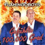 06-03-2015 - pressepromo - Flamingoboys.jpg